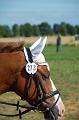 Turnier 2008 (116)